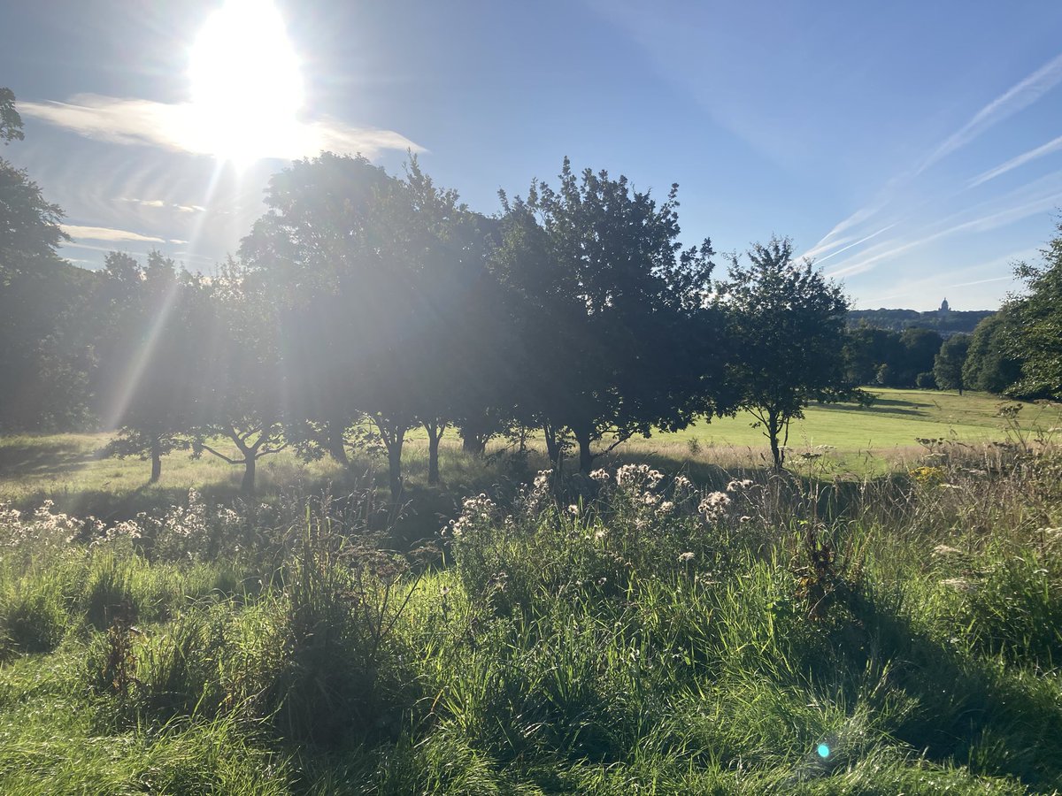 YakPatel tweet media