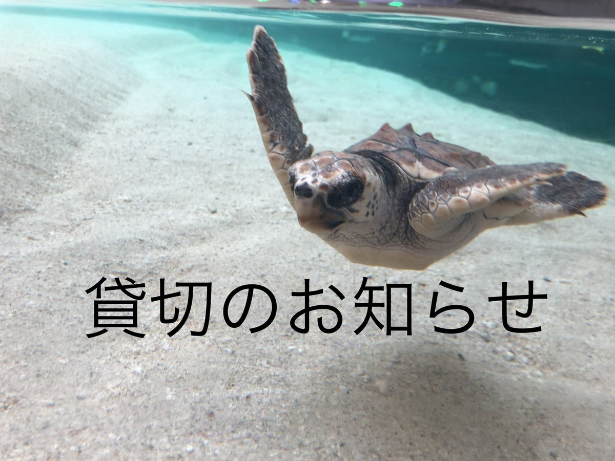 SPOLEclimbing's tweet photo. 【貸切のお知らせ】

８月３０日（水）は１８時まで貸切となります。
ご迷惑お掛けしますが、ご理解頂けますよう宜しくお願いします❗️ https://t.co/8BvEoqdFS1