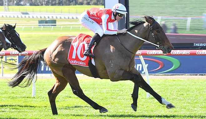 nzracingnews's tweet photo. NEWS: Kiwi-bred gelding #SnowPatrol was an impressive debut winner for @MickPriceRacing at Sandown on Wednesday.
https://t.co/4p0gh4nX2o https://t.co/o9stPIN0ZV