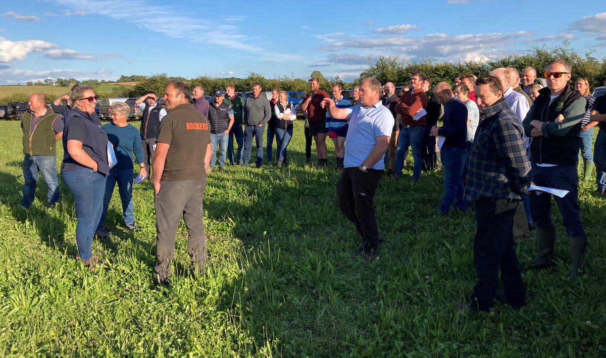 SamBoonBreeding's tweet image. Great sunny night at @AHDB_BeefLamb event with the Nelless family @thistleyhaugh and @ColdrochieEG - talking genetics (a graphfest), forage and @RamCompare. Picture of the #Lleyn ewe lambs with their #Shetland lambs at foot "it's great when a plan comes together" @PastureForLife