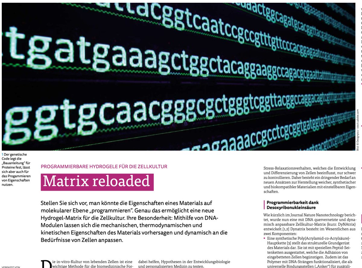 ElishaKrieg's tweet photo. Matrix reloaded 😎

The DNA-crosslinked hydrogel is now featured in the German-language lab-methods journal @LABORPRAXIS.

https://t.co/i1kA33RfVb https://t.co/3zuWP1PfOJ