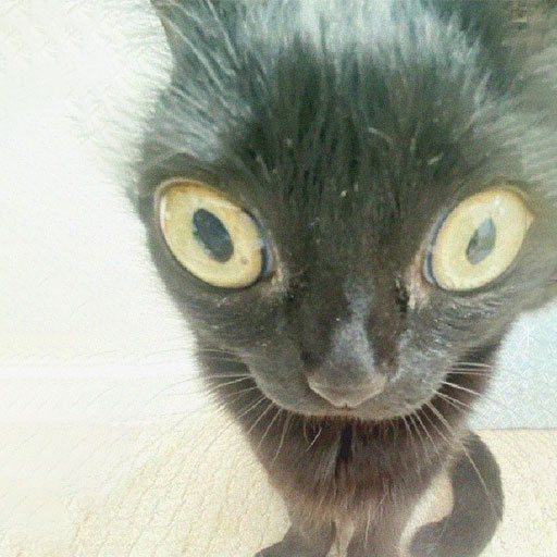 YO IM LIVE COME WATCH ME twitch.tv/crisxtinaa ❤️