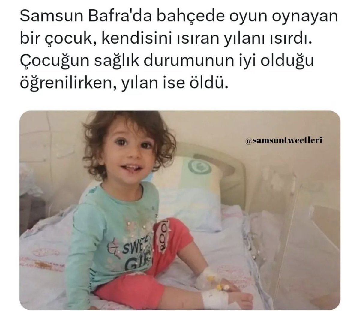 National Geographic Wild Samsun!