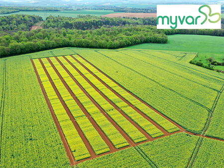 Clarisse_TI_NE's tweet photo. 13 nouvelles variétés de #colza sont proposées à l'inscription au catalogue français en juillet 2023. Vous pouvez consulter sur #Myvar les caractéristiques des variétés en suivant le lien "télécharger le tableau" ou consultant les résultats complets.
https://t.co/BvZKfWiqBu https://t.co/aNvWAj0wYr