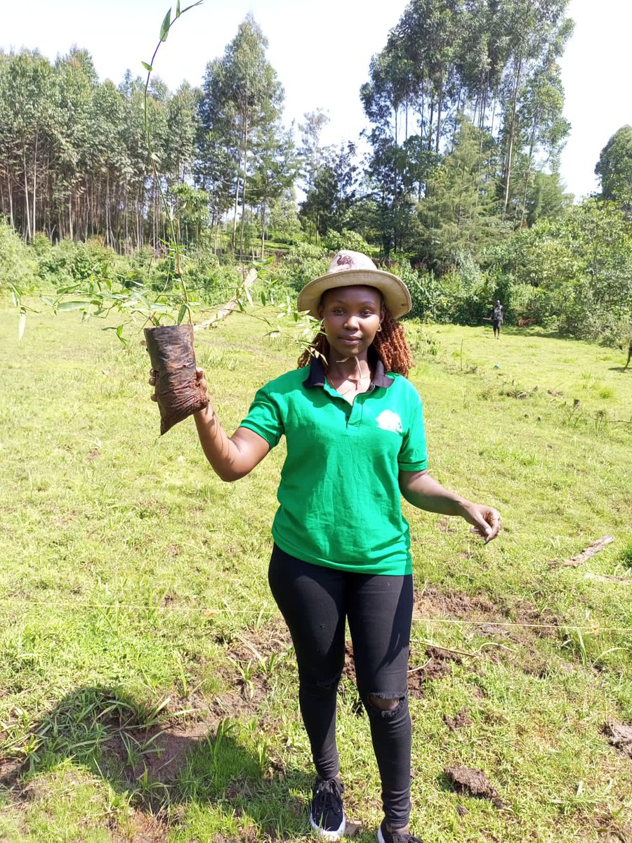 SenatorCheptoo🇰🇪 tweet media