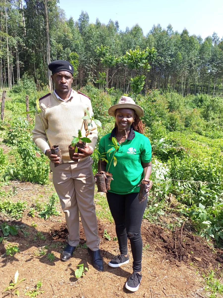 SenatorCheptoo🇰🇪 tweet media