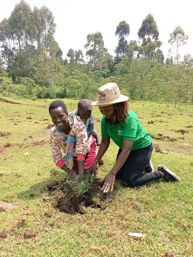 SenatorCheptoo🇰🇪 tweet media