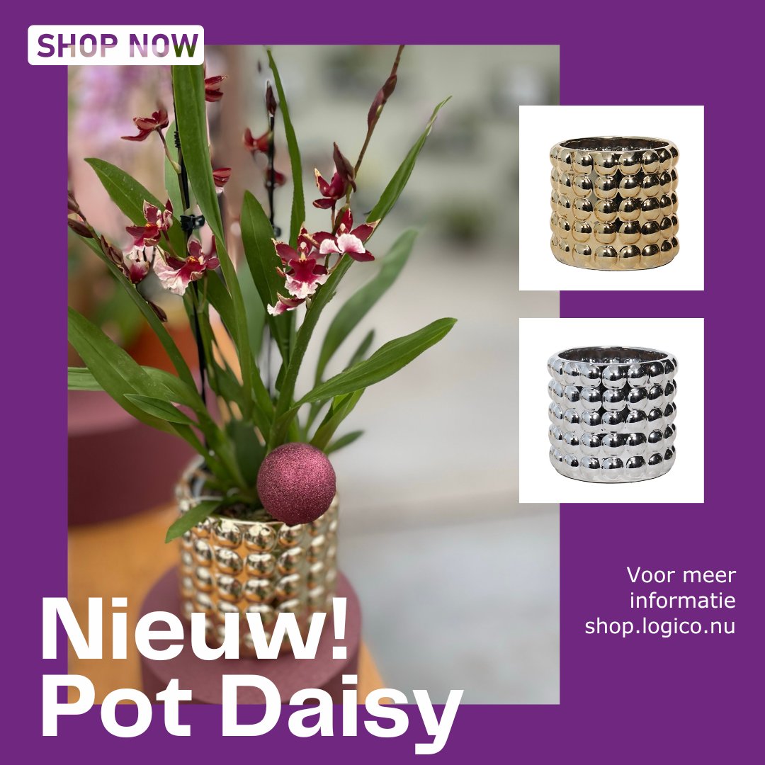 LogicoBv's tweet photo. NIEUW POT DAISY!

De Dolomite Electroplated Pot Daisy is een ware blikvanger die de zintuigen prikkelt en een vleugje glamour en stijl toevoegt aan elk interieur. Vanaf nu verkrijgbaar in de kleur goud en zilver. Voor meer informatie kijk op https://t.co/wmgZ9k46tW https://t.co/G6V8HqQYv4