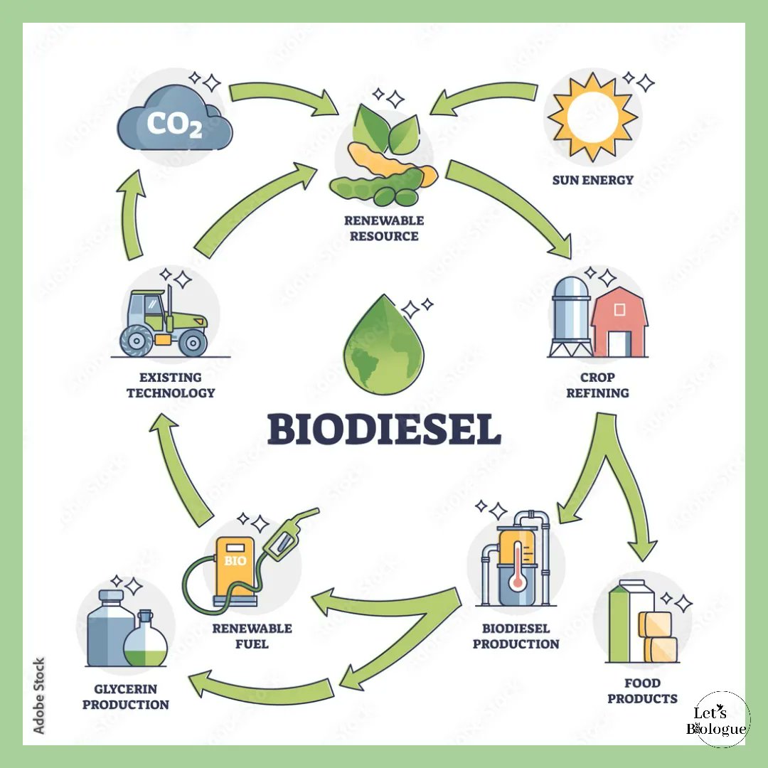 LetsBiologue's tweet photo. Today we bring you a flammable topic🔥, #biodiesel the renewable diesel
#chooseknowledge #biology https://t.co/wk7DyEyO3q