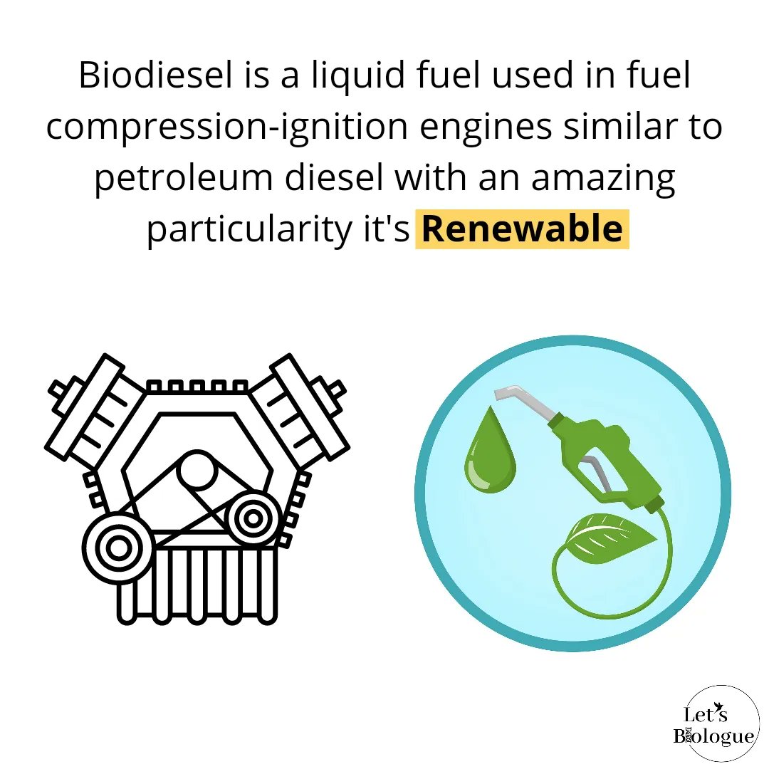 LetsBiologue's tweet photo. Today we bring you a flammable topic🔥, #biodiesel the renewable diesel
#chooseknowledge #biology https://t.co/wk7DyEyO3q