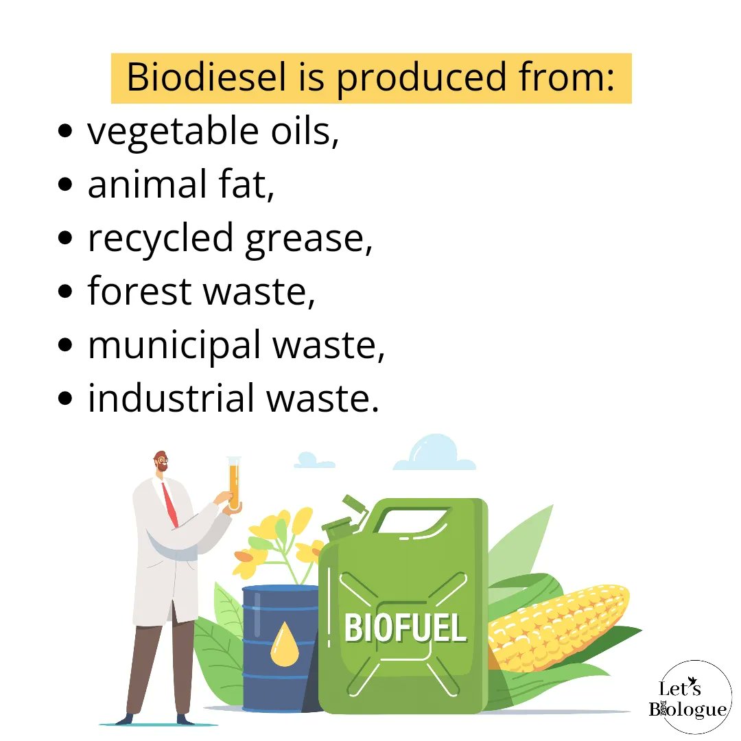 LetsBiologue's tweet photo. Today we bring you a flammable topic🔥, #biodiesel the renewable diesel
#chooseknowledge #biology https://t.co/wk7DyEyO3q