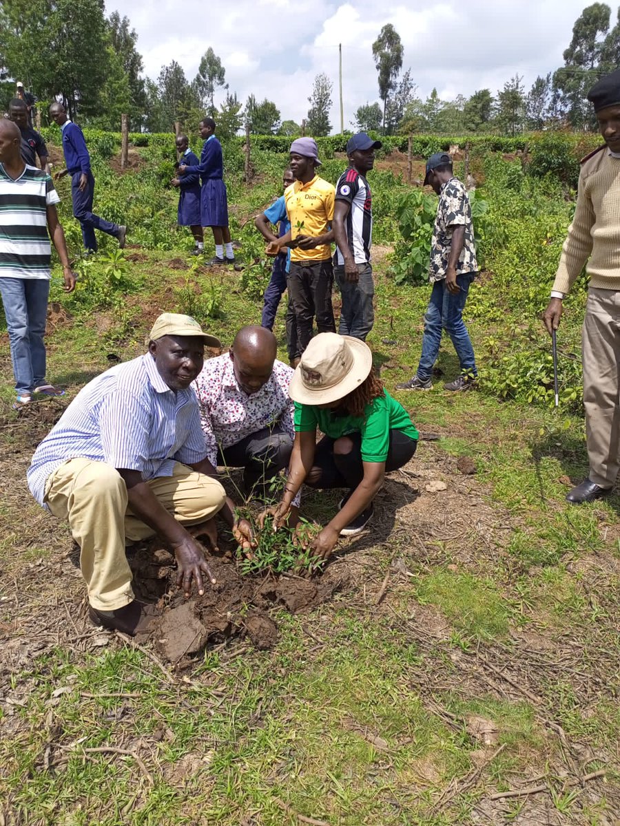 SenatorCheptoo🇰🇪 tweet media