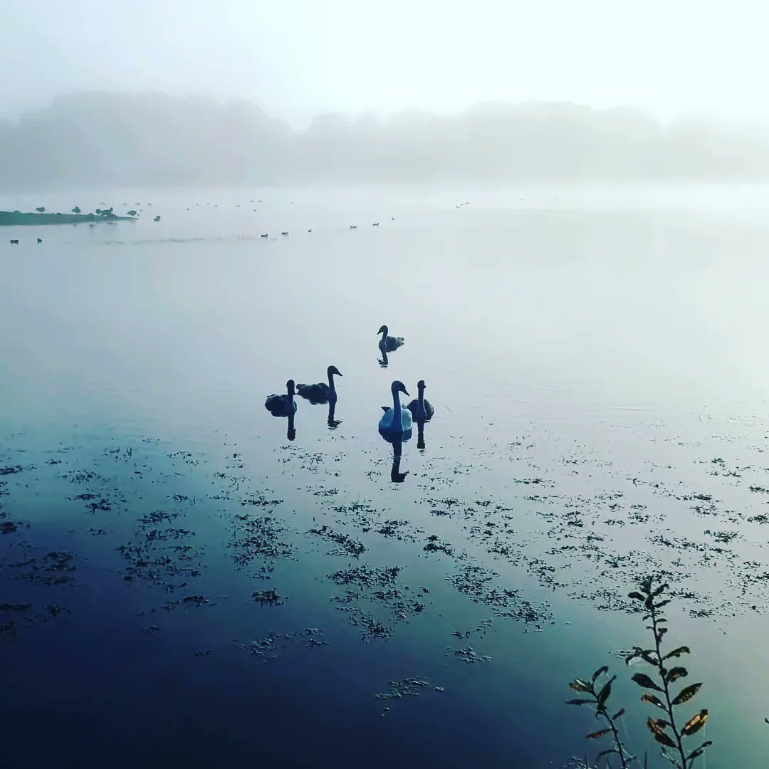 Simon Eddison tweet media