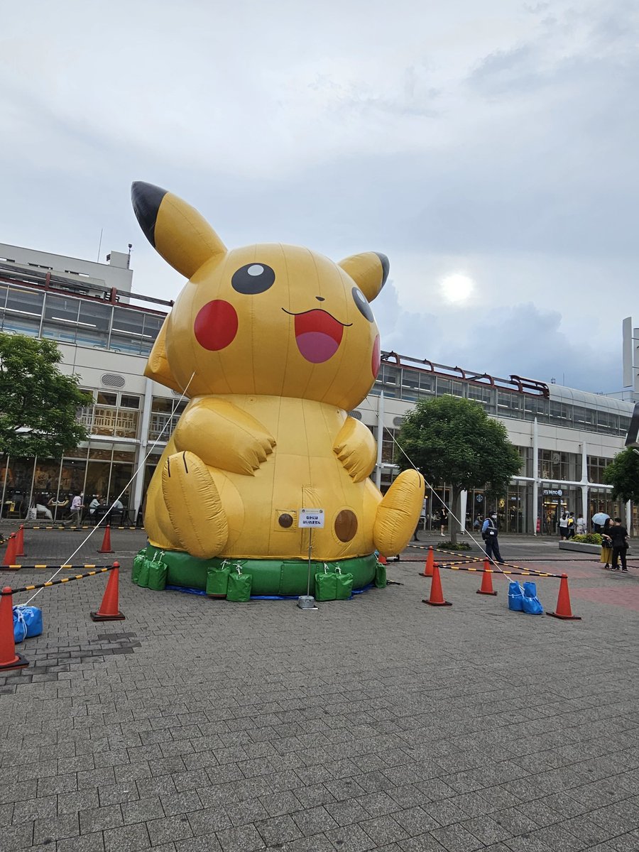 BirdPower13's tweet image. I have arrived in Yokohama 👀