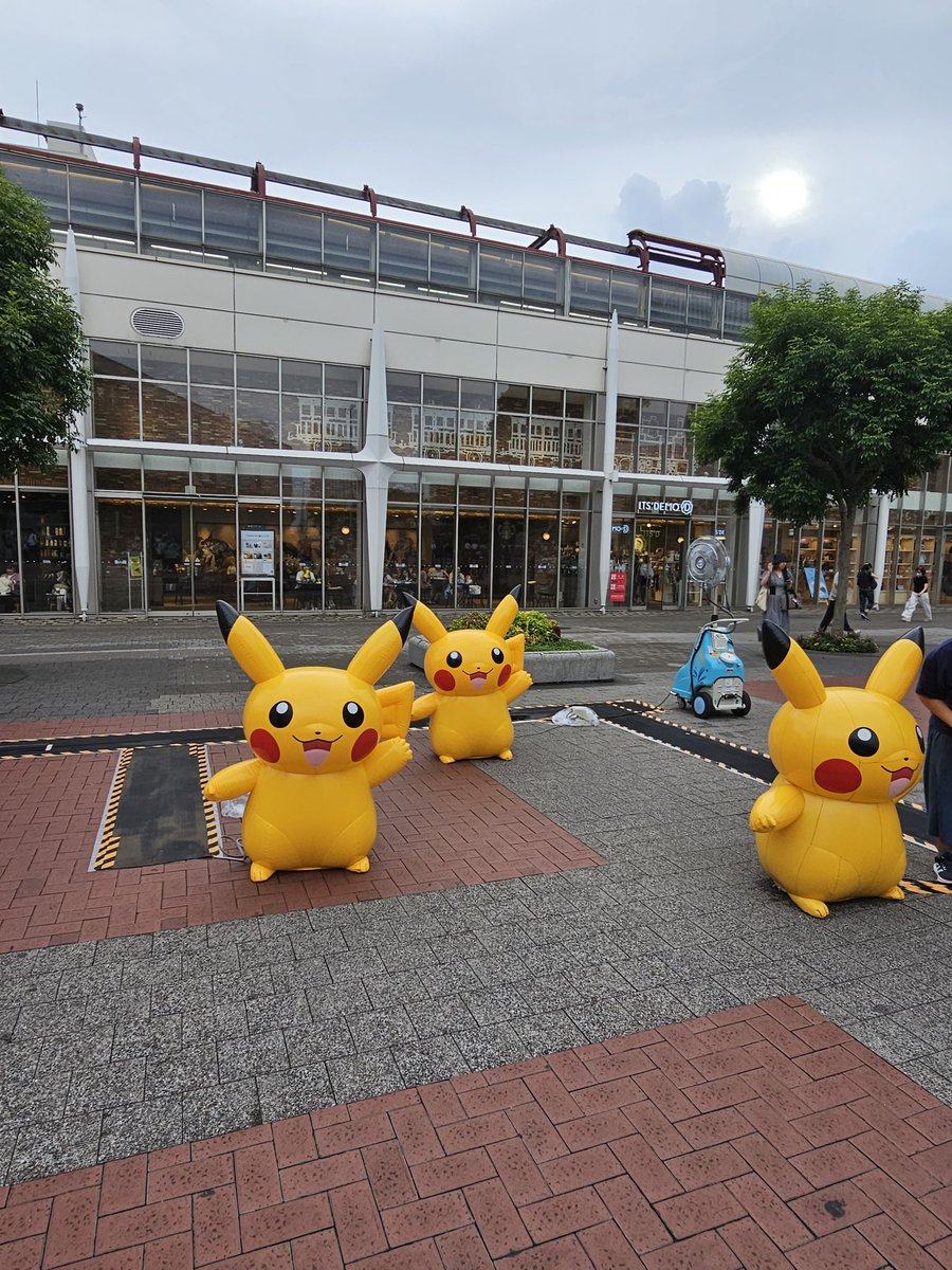 BirdPower13's tweet image. I have arrived in Yokohama 👀