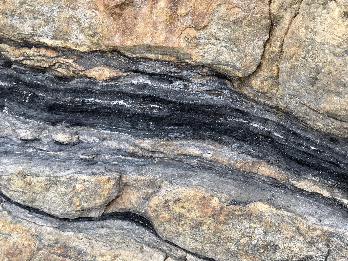 #coal outcropping at the shore line #StMonans #Fife 
#geology #coastalwalking