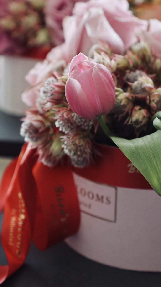 wellseatedsa's tweet photo. 🌷Happy Women’s Day 💕| Boxed Blooms By Wellseated.. https://t.co/UMsCDfoLA7