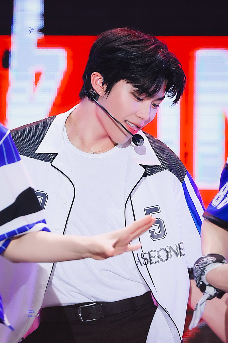 ๐ฝ๐๐ฝ๐ฝ๐ ๐ฝ๐๐ป๐ฐ๐ต. tweet media