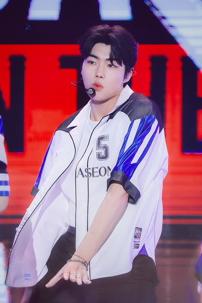 ๐ฝ๐๐ฝ๐ฝ๐ ๐ฝ๐๐ป๐ฐ๐ต. tweet media