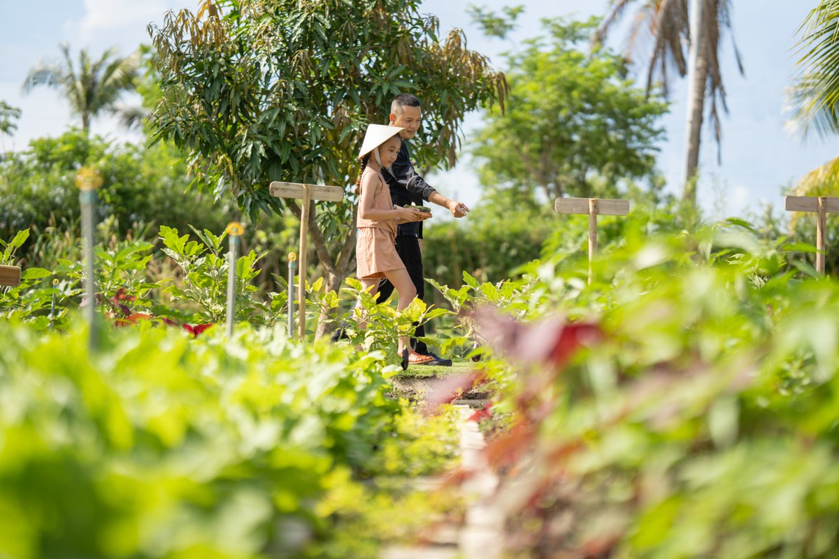 Being sustainable is not an action. It's a philosophy.
In our hotels in Vietnam we offer Zero-Km, healthy, quality cuisine, based on the products of our organic gardens.

@MeliaHoTramRsrt
#meliabavi
#meliavinpearlphuquoc

acortar.link/P7y0MY