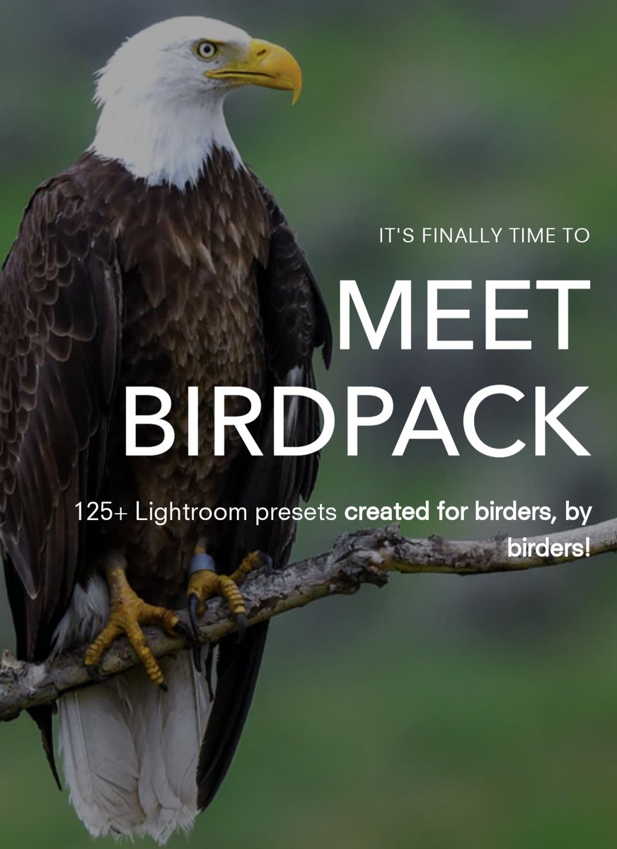 Check out my latest venture! Really excited by my acquisition of @hellobirdspot which combines one of my main interests with business. Looking forward to executing a strategy for the UK market, building upon what has already been achieved in the US.

birdspot.com/products/birdp…

With