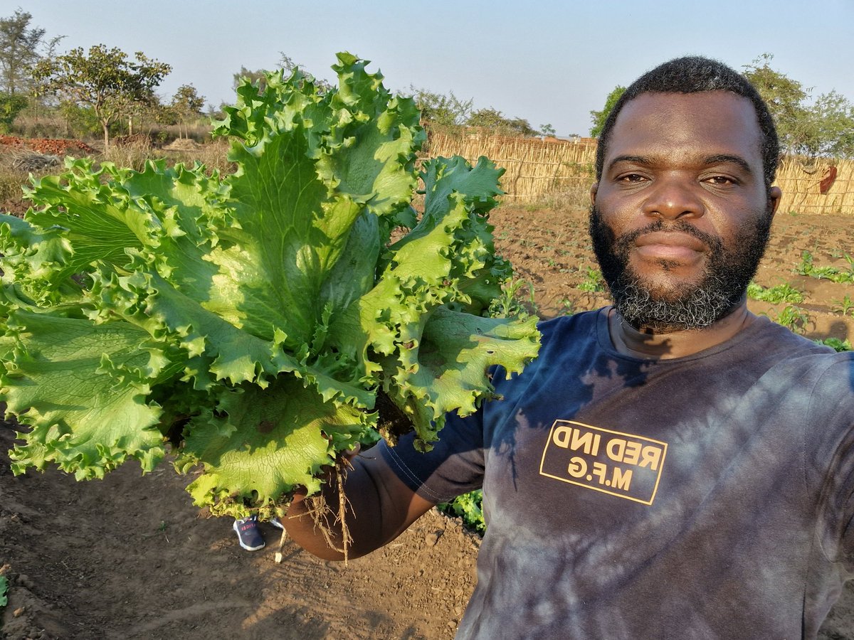 Maletagems's tweet photo. Grow own food. https://t.co/UymwnQzSCP
