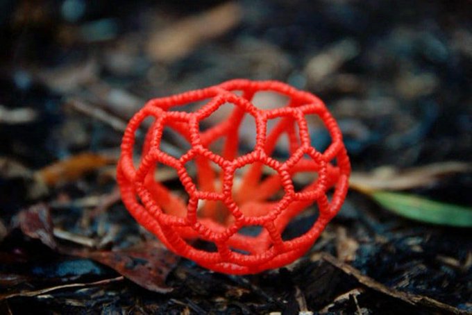 Clathrus ruber is a mushroom also known as 'red cage' due to the striking fruit bodies that are shaped somewhat like a round or oval hollow sphere with interlaced or latticed branches 

[read more: buff.ly/2He1G6T]