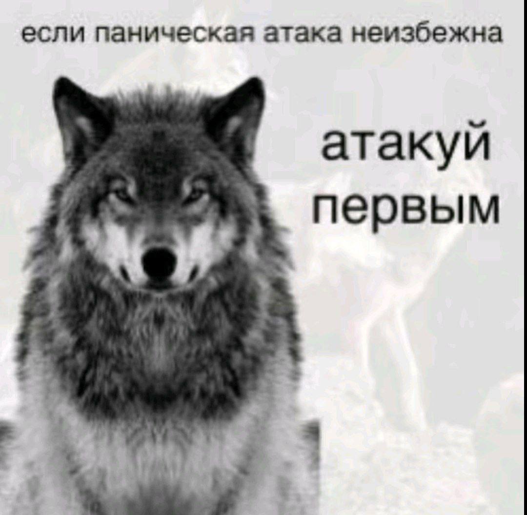 mokryell's tweet photo. друзья, прошу рт. 

я сделала канал для контента. думаю, там будет весело 
https://t.co/HZJ8v5NWFV https://t.co/31wxqmFAup