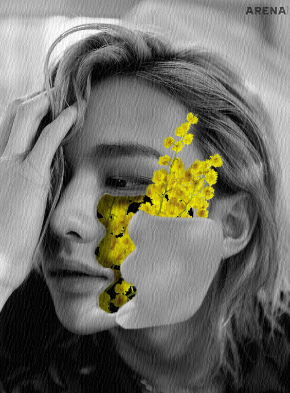 ㅤ   

The mimosa flower has a bright yellow color. Personally, I like yellow because it represents happiness to me. But, the mimosa flower symbolizes respect, elegance, dignity, and kindness.

<a href="/crestfallennph/">CRESTFALLEN° OPEN</a> is now open again! Get some flowers for your loved ones. 

͏͏͏͏͏͏ㅤ