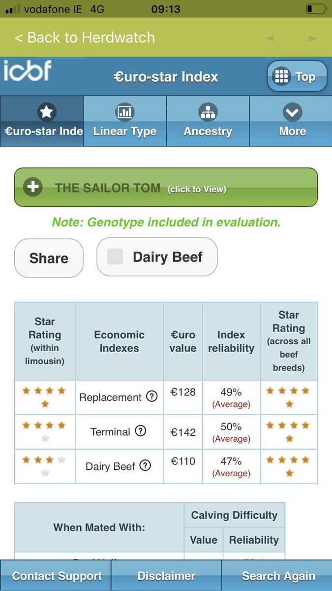 Cerberus bull for sale. 17 months old and 5 star terminal and replacement. DM for more information and RT please.