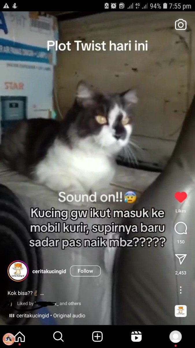 KochengFess v2 tweet media