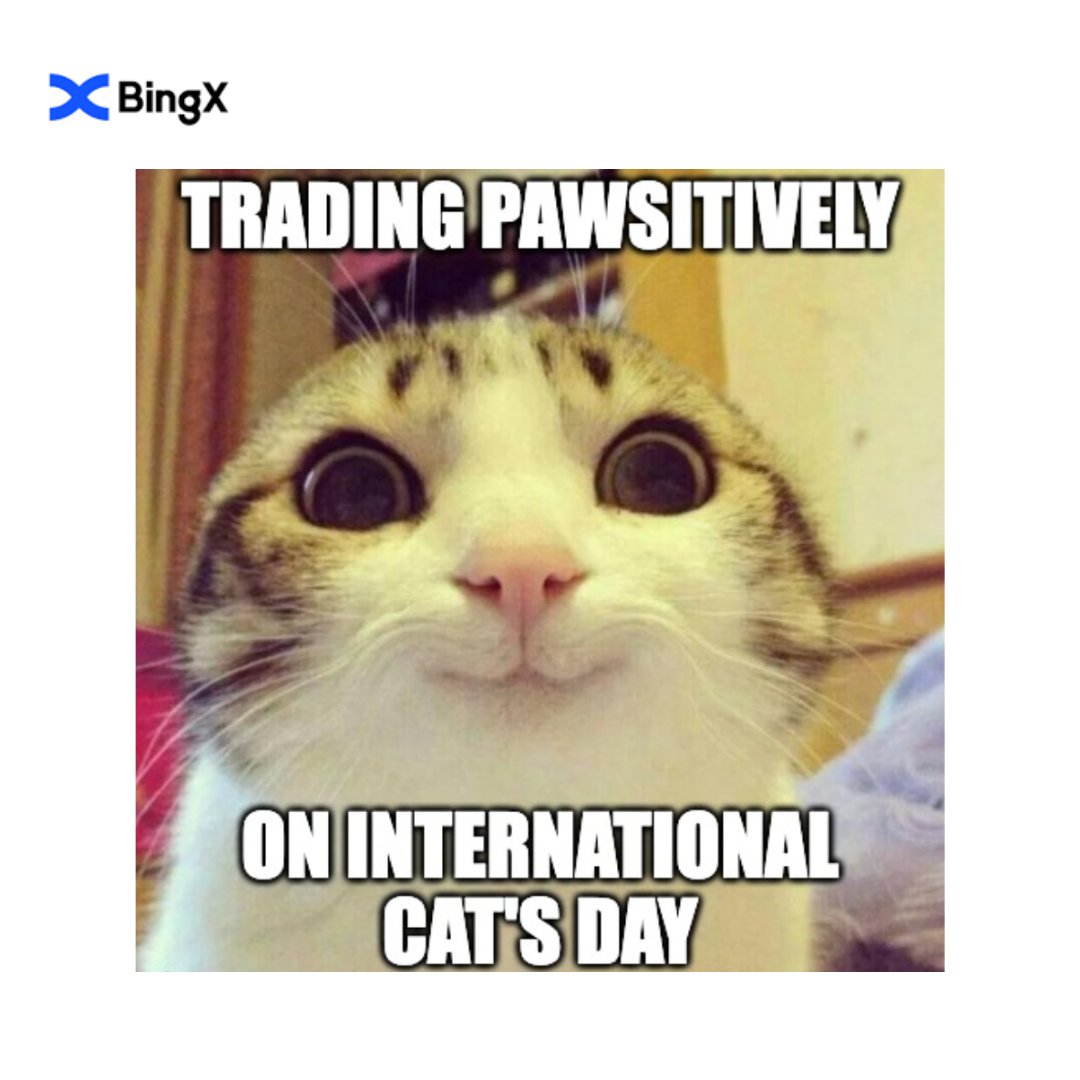 bingxegypt's tweet photo. 🐱 الاحتفال بـ #InternationalCatDay!
🎉 وخمنوا ماذا؟ يوافق صديقنا ذو الفراء على واحدة من أكثر الإضافات إثارة في شهر أغسطس على #BingX - $TOSHI لـ #Toshi_base https://t.co/N08c268i5z