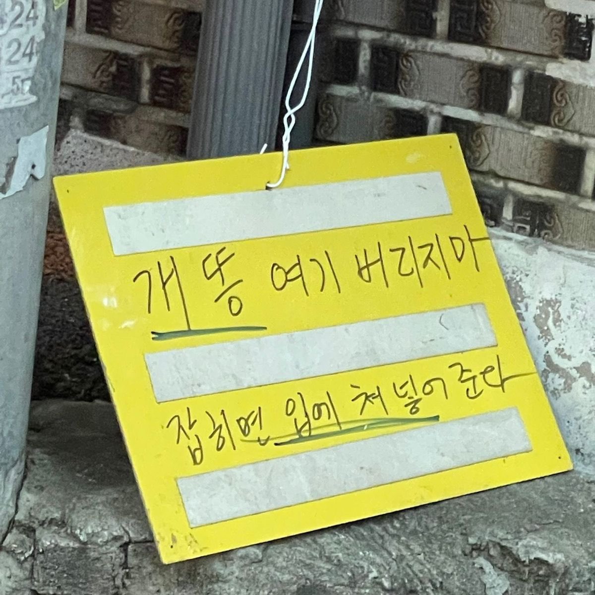 내 취향 사진들 tweet media