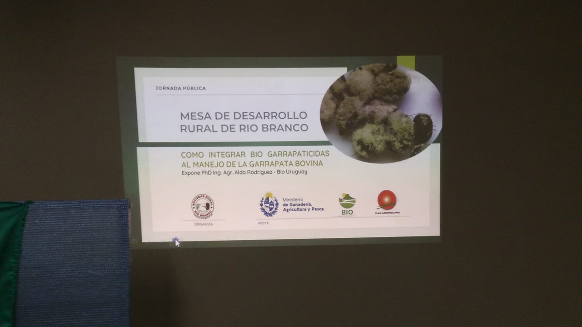 PlanAgro's tweet photo. #Ayer en📍Río Branco, Cerro Largo
✅Cómo integrar Bio Garrapaticidas al manejo de la Garrapata Bovina
🗣️Ing. Agr. PhD. Alda Rodriguez @biouruguay
En el marco de la Mesa de Desarrollo Rural #MDR de Río Branco
@MGAPUruguay #SRRB Ing. Barreto #33 #PlanAgro https://t.co/g8dua2jxxg