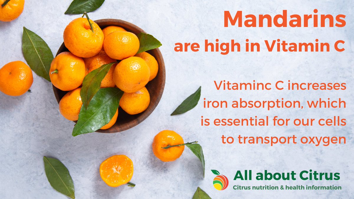 Busy running from one place to the next?🏃‍♀️
#Mandarins like all other soft citrus is the perfect healthy on-the-go snack🚗✈and they are also high in vitamin C.
#VitaminC increases iron absorption, which is essential for our cells to transport oxygen💨
