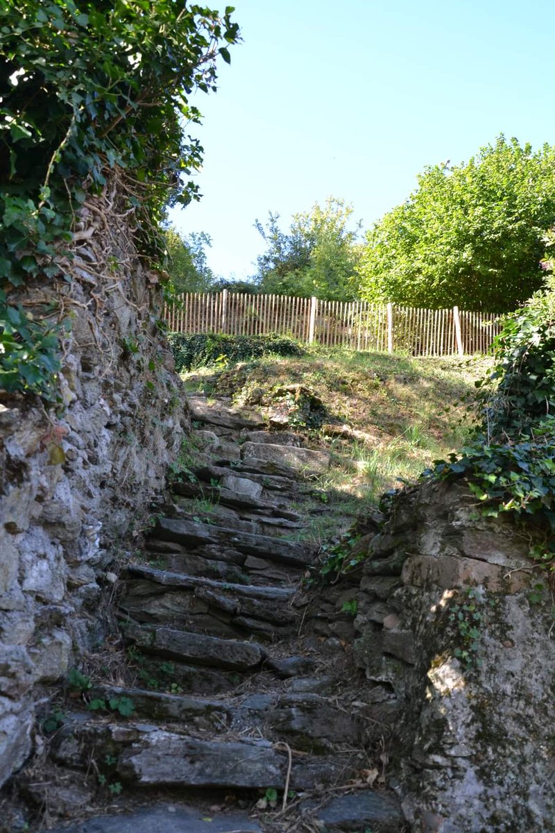 CEGivors2020's tweet photo. #Givors
Des nouvelles du chantier de restauration du site Château Saint Gerald
Un grand bravo aux jeunes encadrés par @asso_concordia que vous pouvez rencontrer
ce mercredi 9 août à partir de 17 h 30 à la Maison du Fleuve Rhône (salle de l’orangerie près de la salle Rosa Parks). https://t.co/sG8fa0gnPt