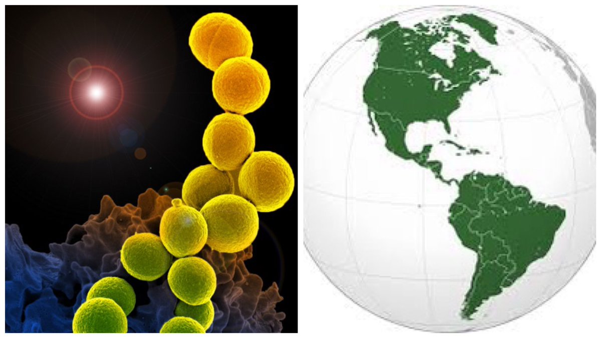 ᐯIᑕTOᖇ ᑎIᘔET tweet media