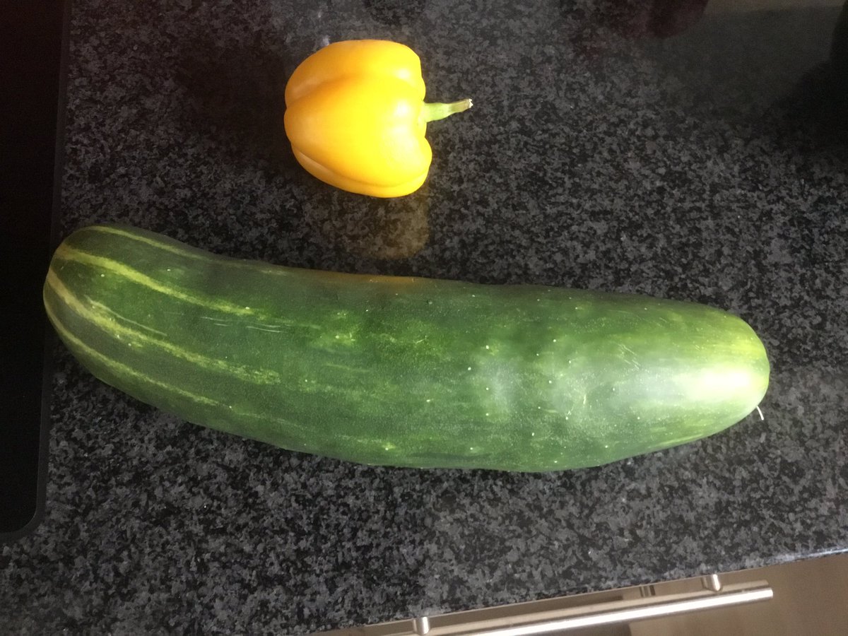 Unsere Nachbarin hat mir soeben eine Salatgurke aus dem Garten geschenkt!