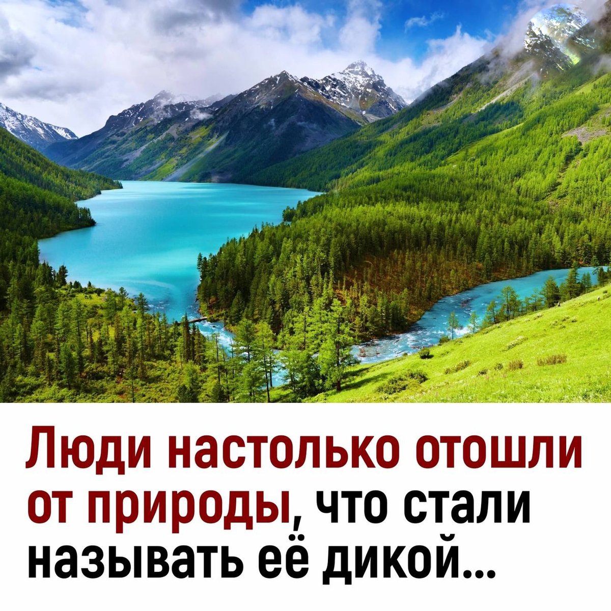 Stas Kirov (@kirov_09) on Twitter photo 