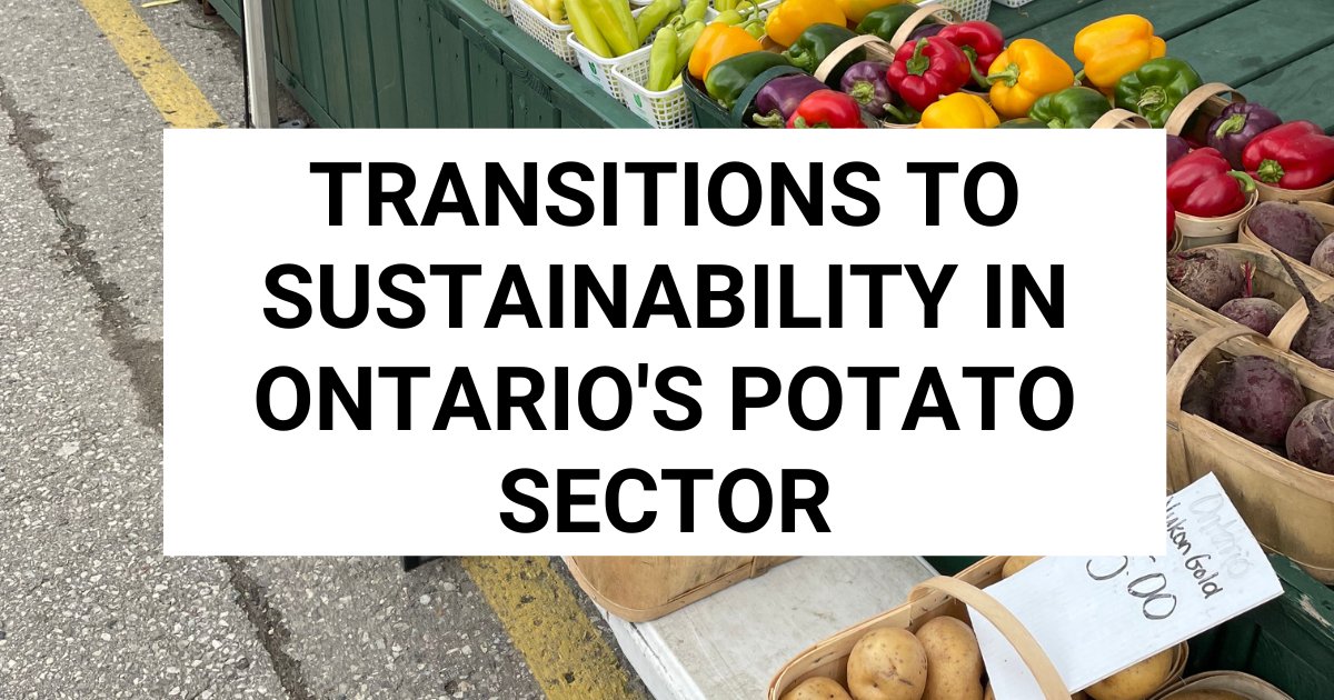 RPDplan's tweet photo. Charlotte Potter's research exposes structural &amp; social factors limiting sustainable transitions in Ontario’s potato sector, highlighting areas for future research, policy support &amp; farmer-led action

Learn more: https://t.co/2qoB65lojq

#RuralSym23 @OMAFRA @AgInnovationON https://t.co/EUbFFU5paR