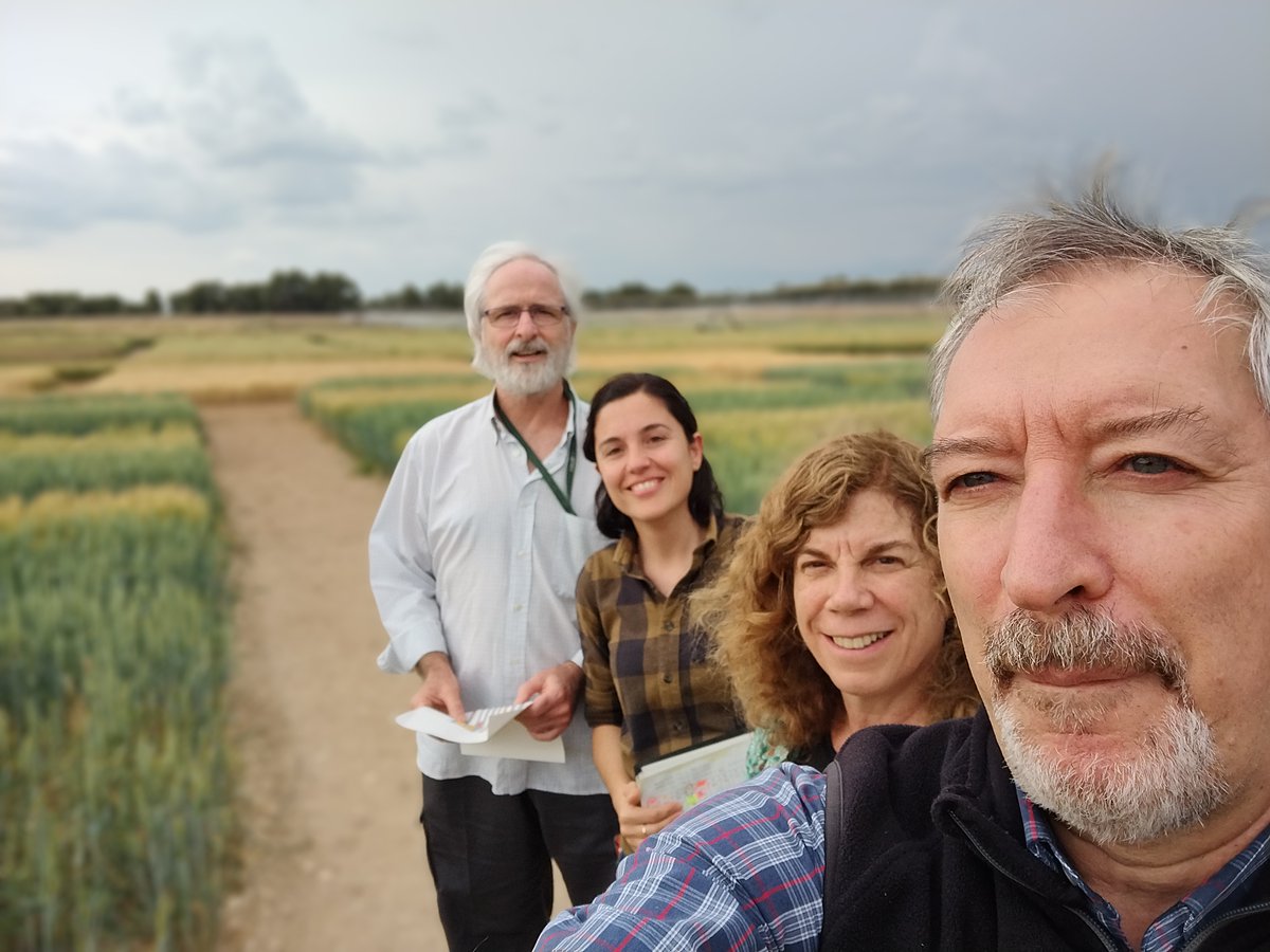 FAUBA_Internac's tweet photo. El Prof. Daniel Miralles representó a la @AgronomiaUBA en el Workshop del V SEFIMEC desarrollado en la @UdL_info. También colaboró académicamente con los colegas Roxana Savin y Gustavo Slafer y visitó sus experimentos establecidos en el campo del @irtacat
#orgullofauba #SerFauba https://t.co/zrxvSdKDbi