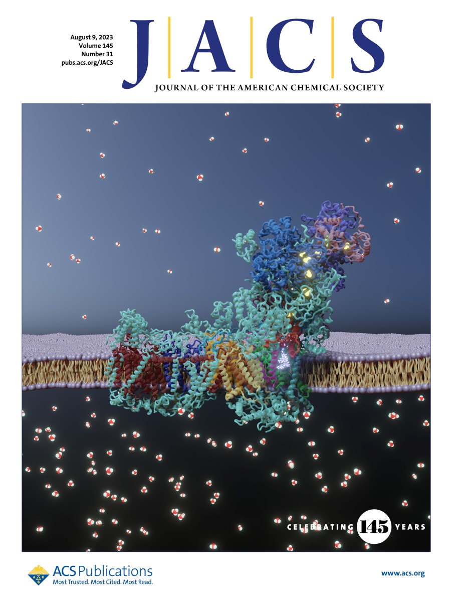 The latest issue of JACS is live! On this week's cover, @TheKailaLab illustrates how catalysis controls large-scale protein conformational changes and enables ion transport across biological membranes. Read the full article here ➡️ go.acs.org/5M7