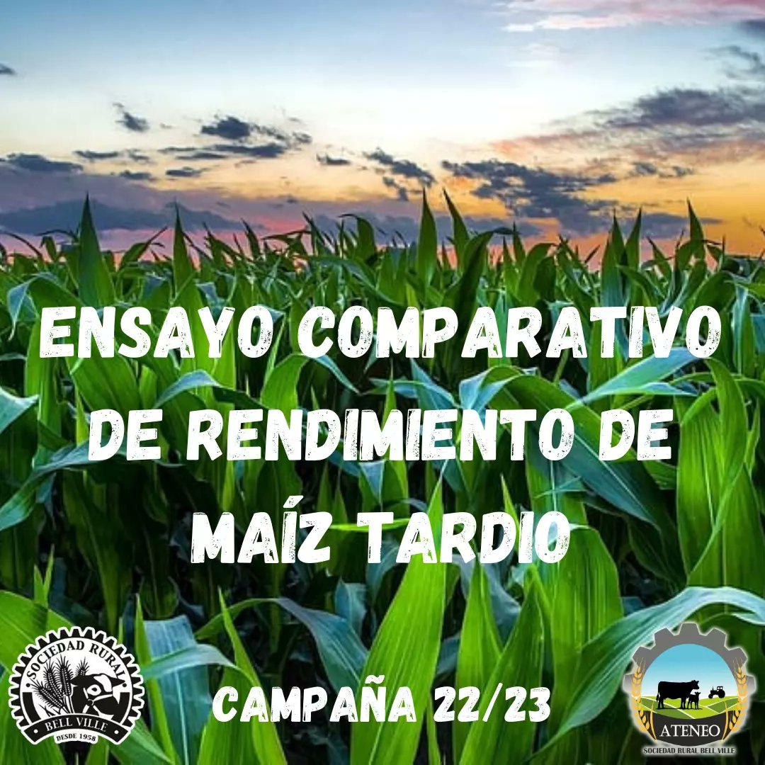 ateneosrbv's tweet photo. Ensayo de maíz tardío 🌽

Deslizá para ver toda la info y los resultados sobre el ensayo comparativo de rendimiento que hicimos en el establecimiento La Sara 👀

⬇️ https://t.co/0qC2aPEpld
