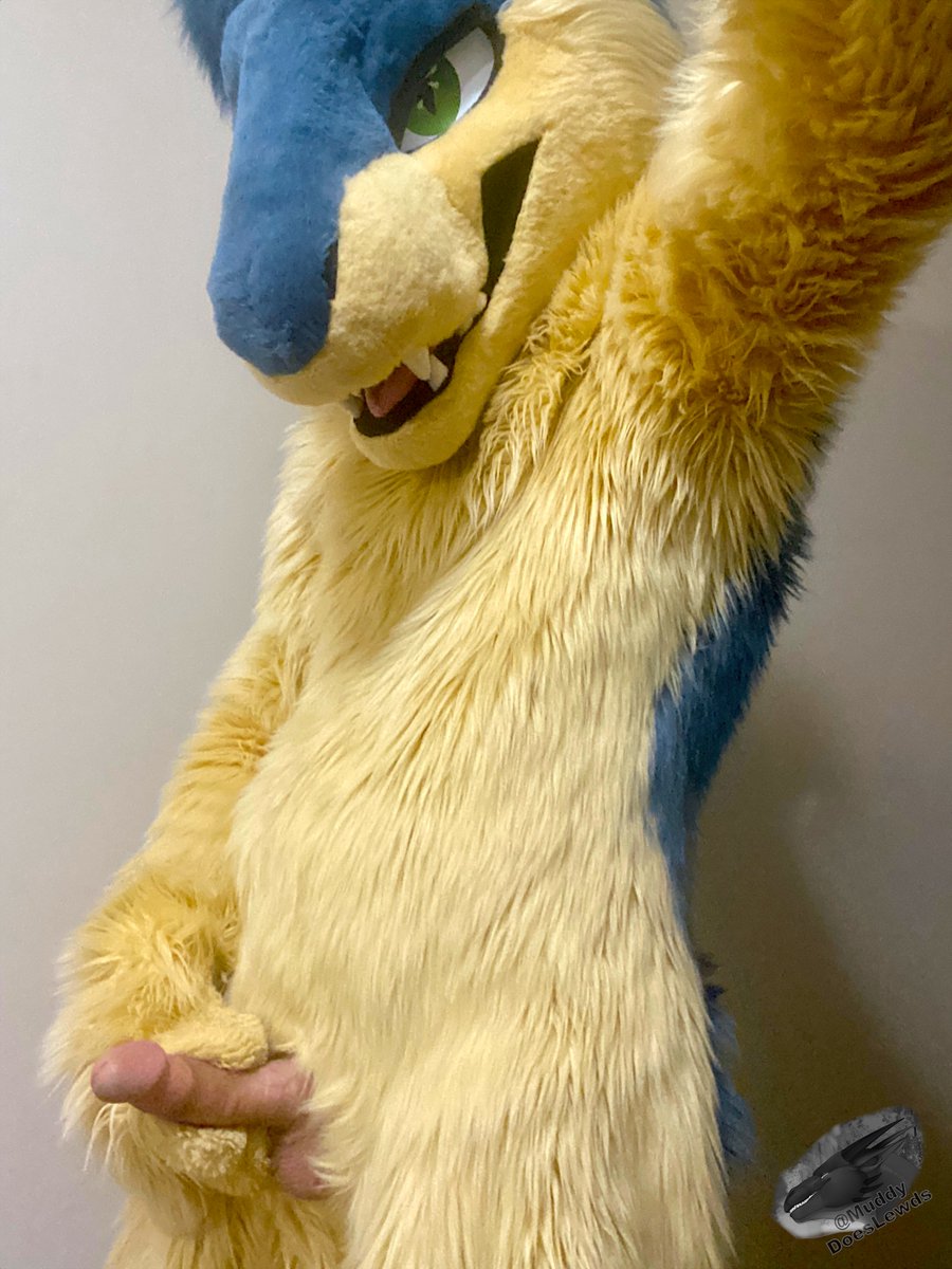 Muddy AD 🔞 🔜 Fur-Eh, Calfurry tweet media