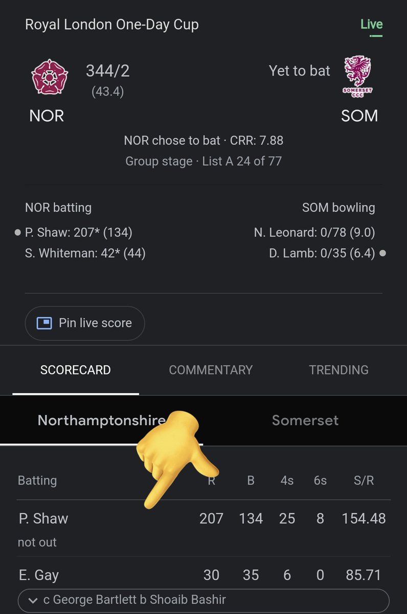 troller_Adi18's tweet photo. Prithvi shaw show 🔥🥵
#doublecentury #RLODC https://t.co/OM5gLKjrbM