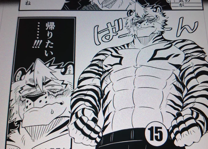 今夜も頑張るよ!🐯