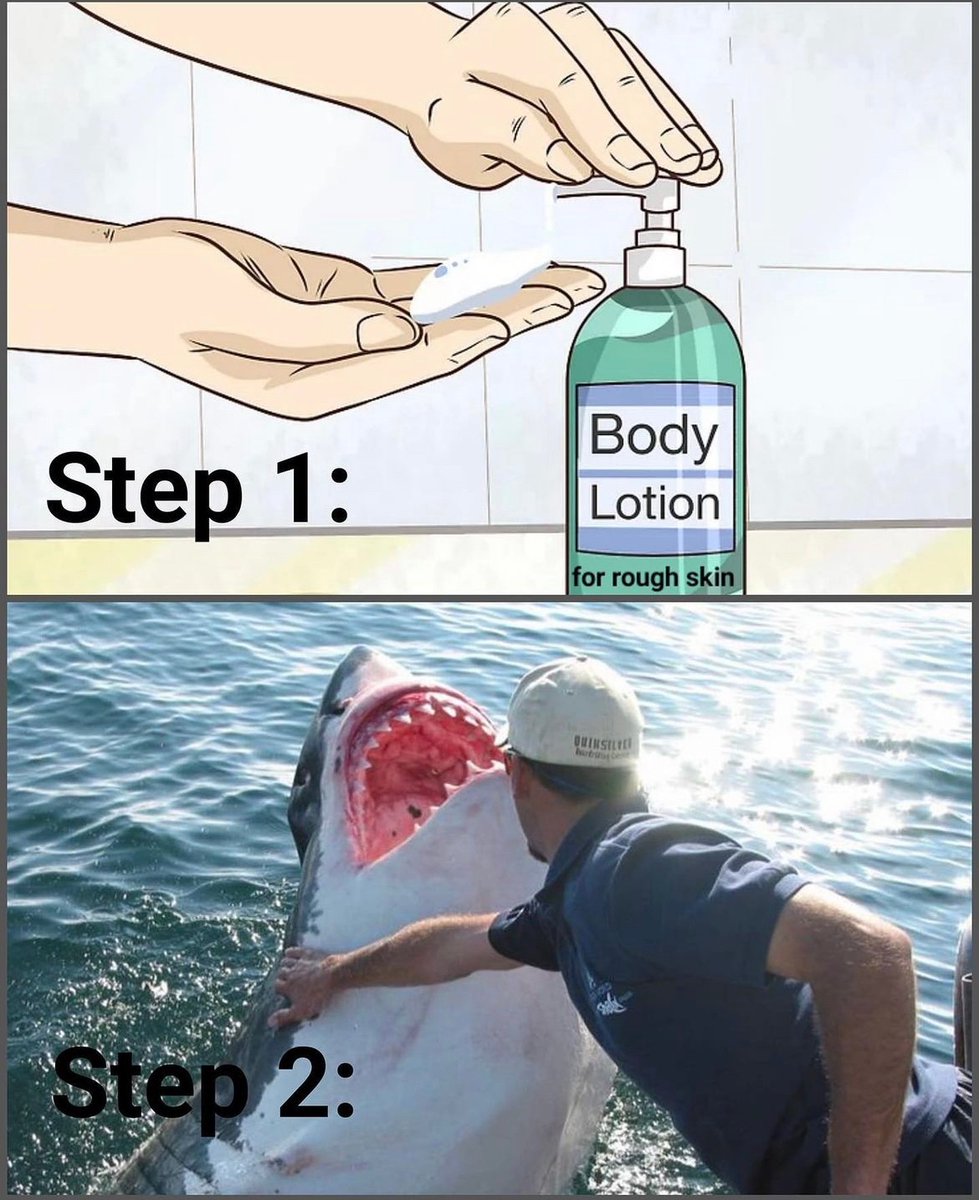 Sharks4Kids's tweet image. Take care of those dermal denticles! 

📸: @wildgreenmemes

#dermaldenticles #sharkskin #sharkmemes #sharkeducation