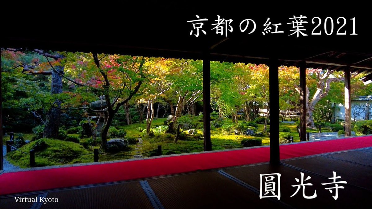 【Kyoto Walk: Enkoji-Temple】
"Enkoji is famous for its autumn colors. Enjoy the beautiful garden and autumn leaves."
 [Selected Videos 1999]
#Enkoji #紅葉 #圓光寺

《Video (17:36)》youtu.be/3hALWlIodYM
