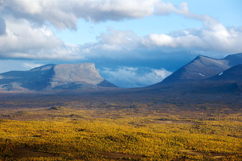 Region Norrbotten tweet media