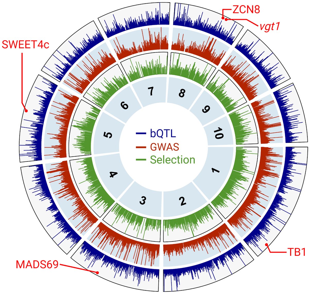 ThomasHartwig20's tweet photo. @biorxivpreprint Presenting the preprint of our first-generation pan-cistrome in plants. https://t.co/8u8D9KAlmH https://t.co/uMK4uABFmc